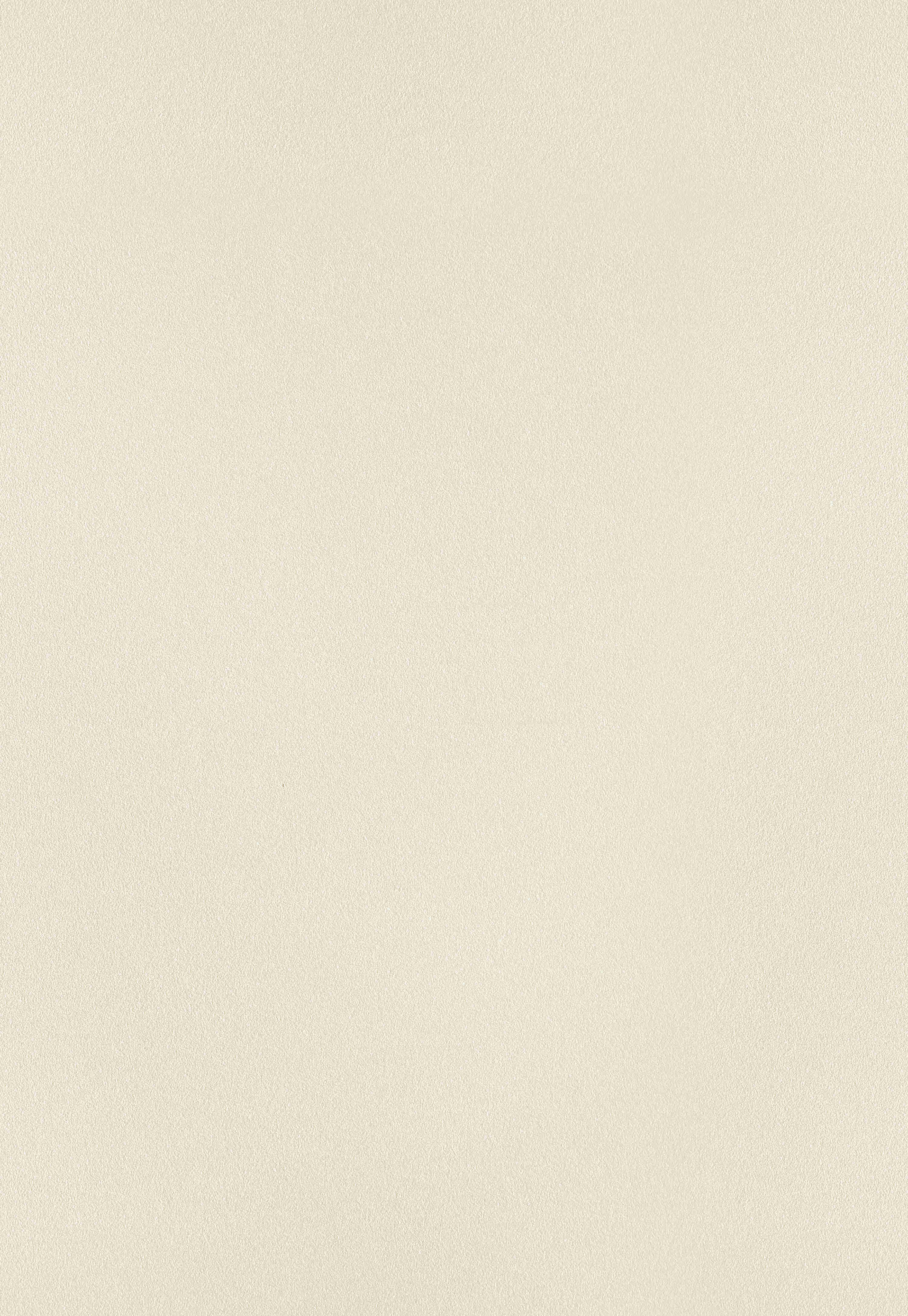 臻彩质感 琥珀