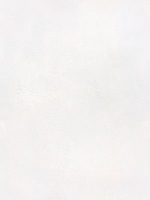 彩片系列 银星 